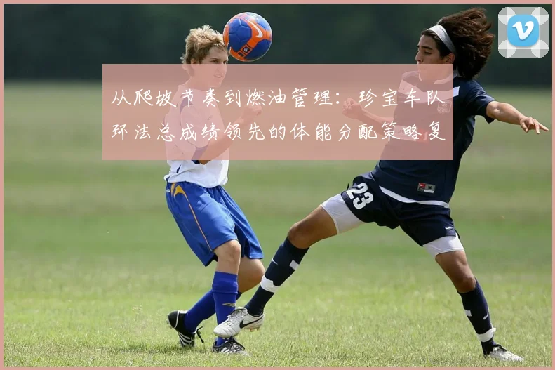 从爬坡节奏到燃油管理：珍宝车队环法总成绩领先的体能分配策略复盘