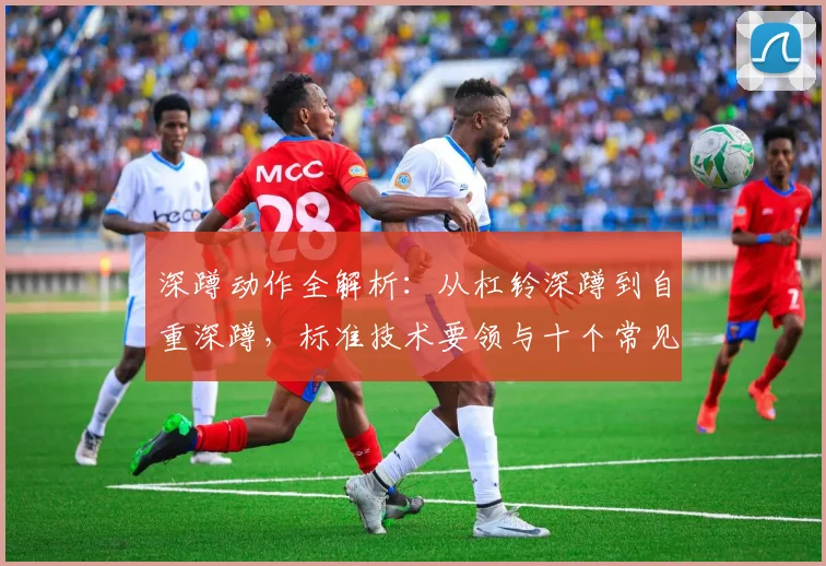 深蹲动作全解析：从杠铃深蹲到自重深蹲，标准技术要领与十个常见错误逐一拆解