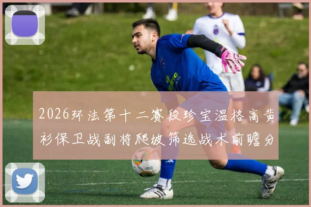 2026环法第十二赛段珍宝温格高黄衫保卫战副将爬坡筛选战术前瞻分析